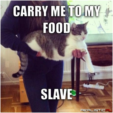 Zanieś mnie niewolniku!